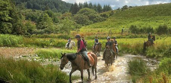 Bantry Bay Pony Trekking