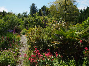 Ballycommane Garden