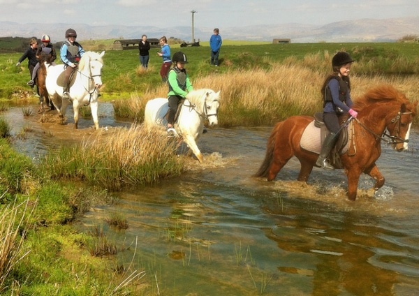 Things to Do Sheep's Head - Bantry Things to Do